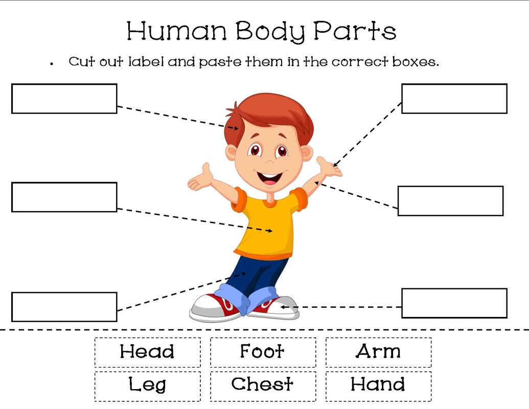 human-body-my-resource-station-grade-one